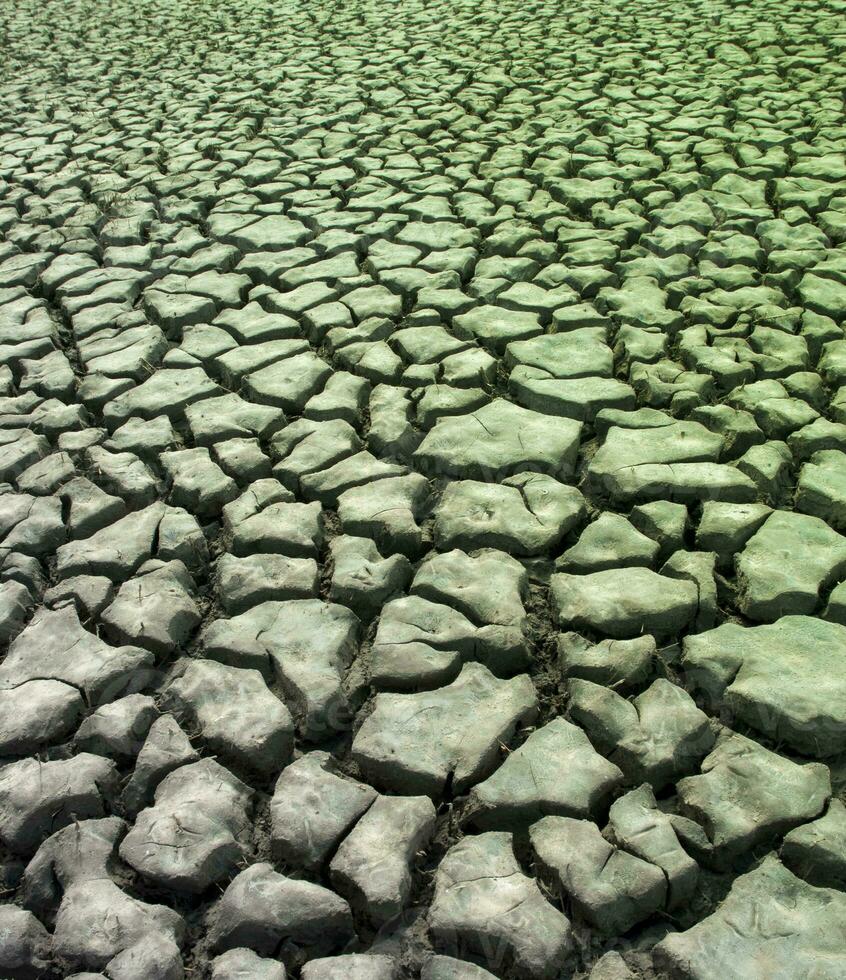 roto suelo en pampa ambiente , Patagonia, argentina. foto