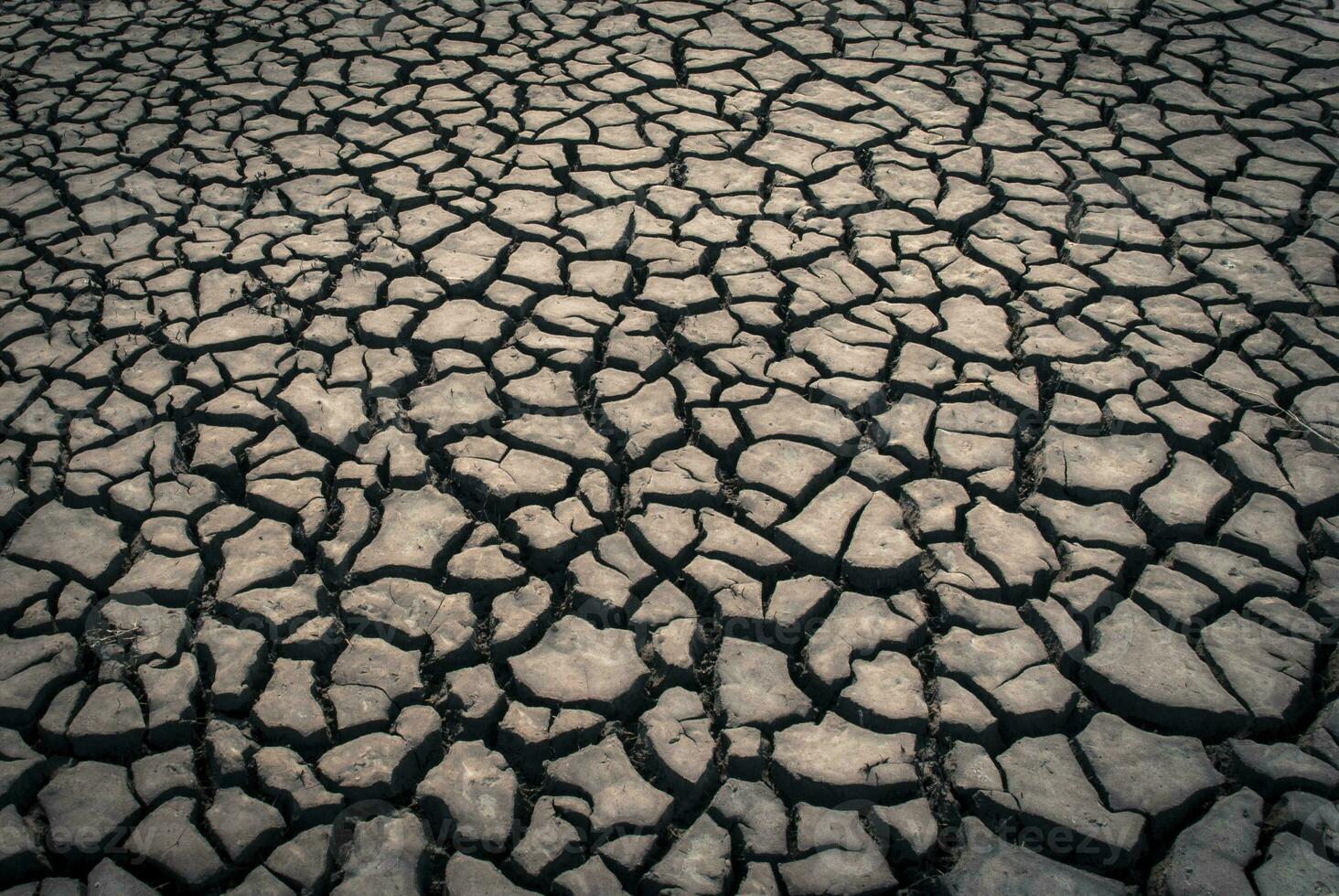 Broken soil in Pampas environment , Patagonia, Argentina. photo