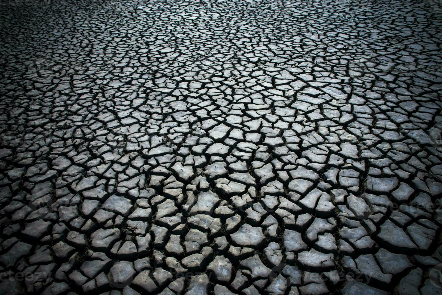 roto suelo en pampa ambiente , Patagonia, argentina. foto