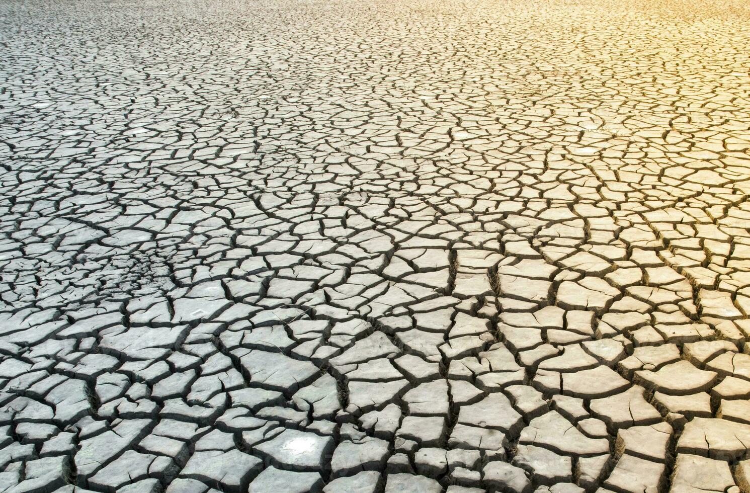 Broken soil in Pampas environment , Patagonia, Argentina. photo