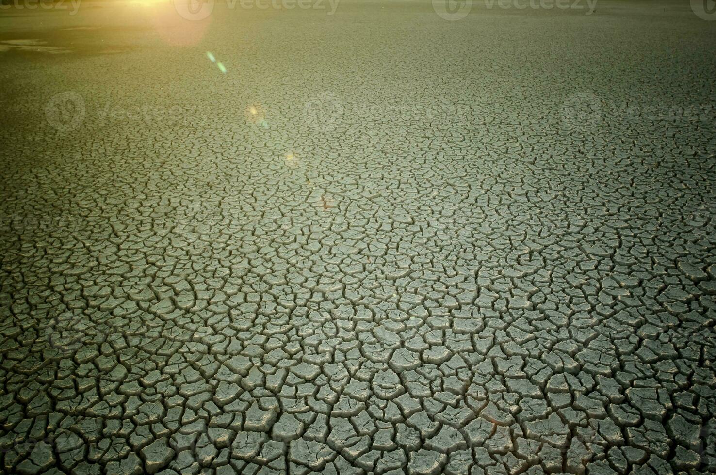 roto suelo en pampa ambiente , Patagonia, argentina. foto