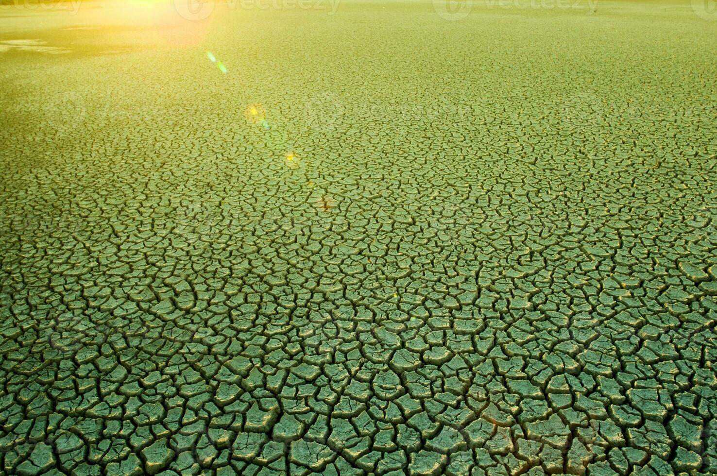Broken soil in Pampas environment , Patagonia, Argentina. photo