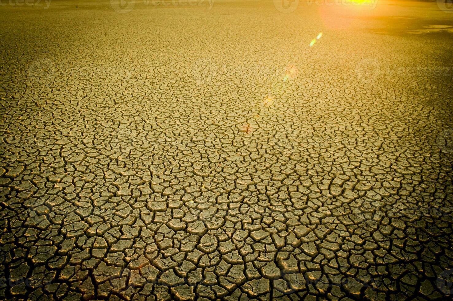 roto suelo en pampa ambiente , Patagonia, argentina. foto