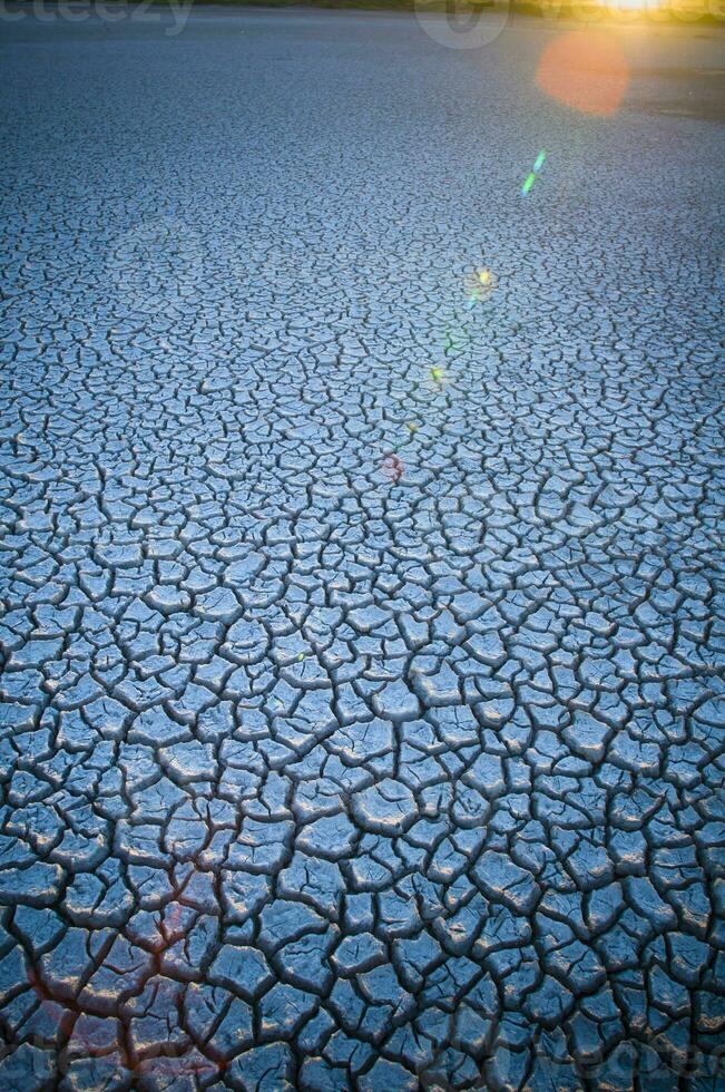 roto suelo en pampa ambiente , Patagonia, argentina. foto