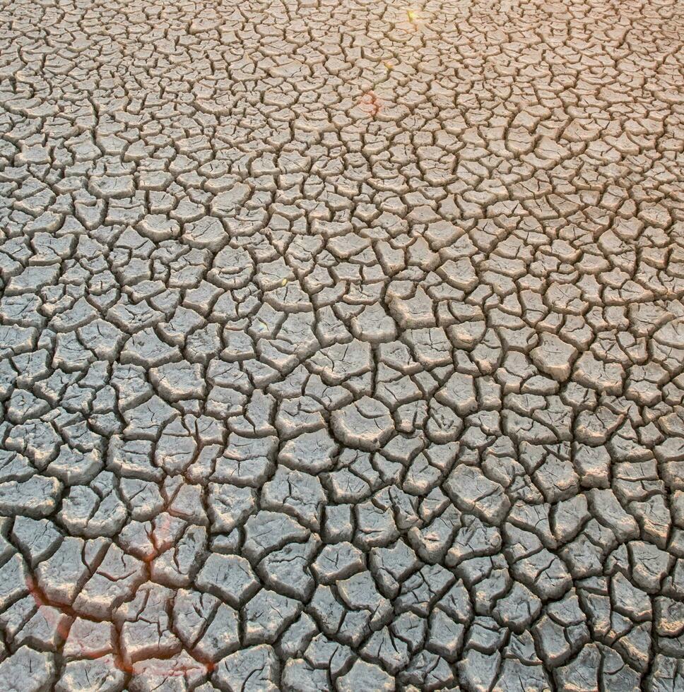 Broken soil in Pampas environment , Patagonia, Argentina. photo