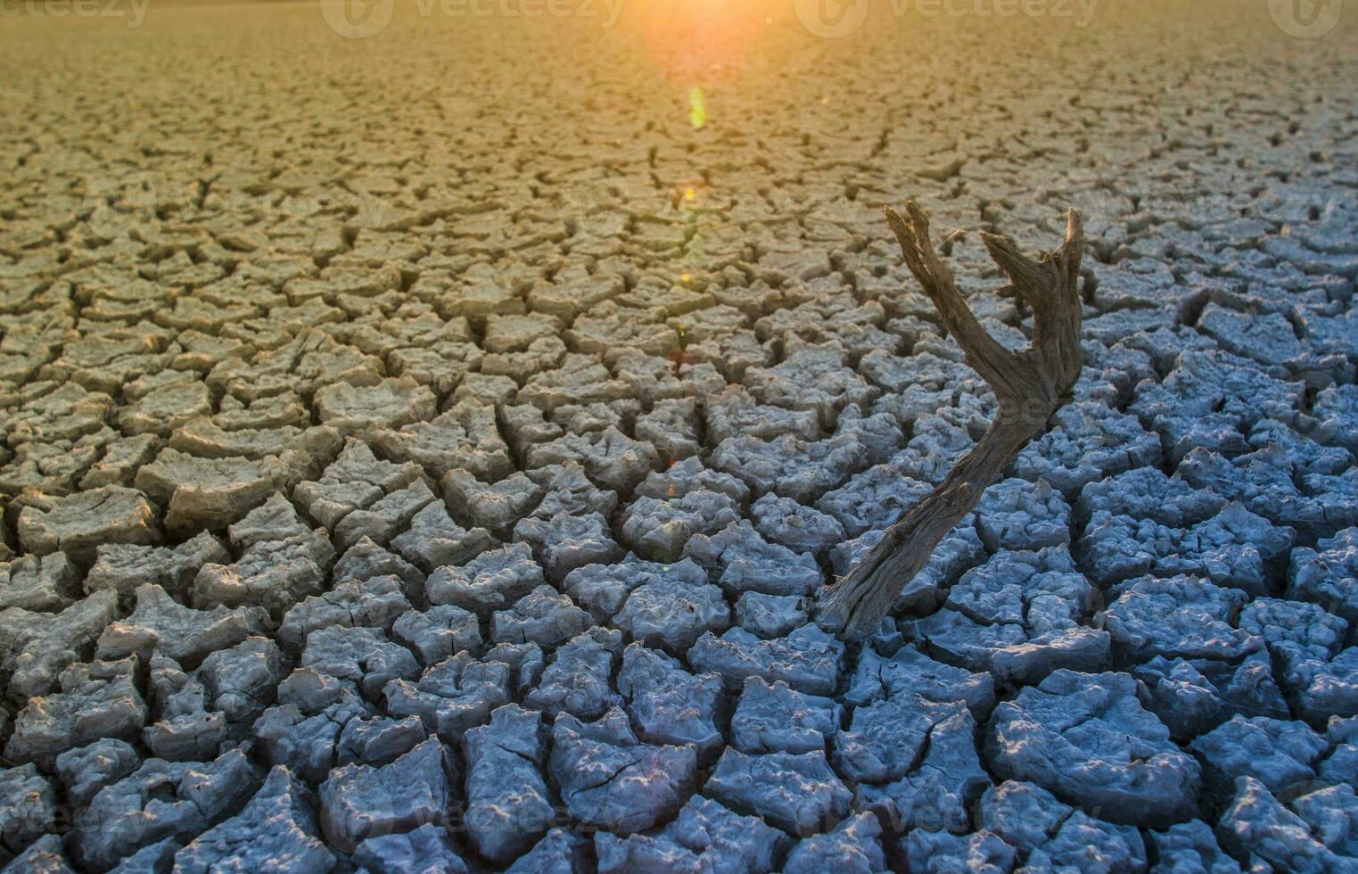 Broken soil in Pampas environment , Patagonia, Argentina. photo