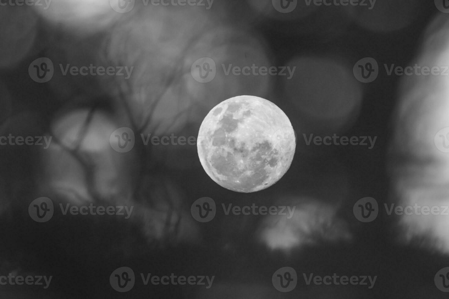 Moonrise , Full moon in the sky, Patagonia, Argentina photo