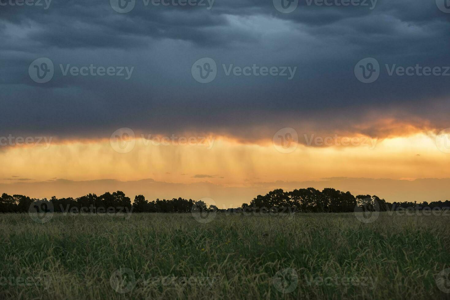 Storm Landscape, in Pampas Countryside, Buenos Aires Province, Argentina. photo