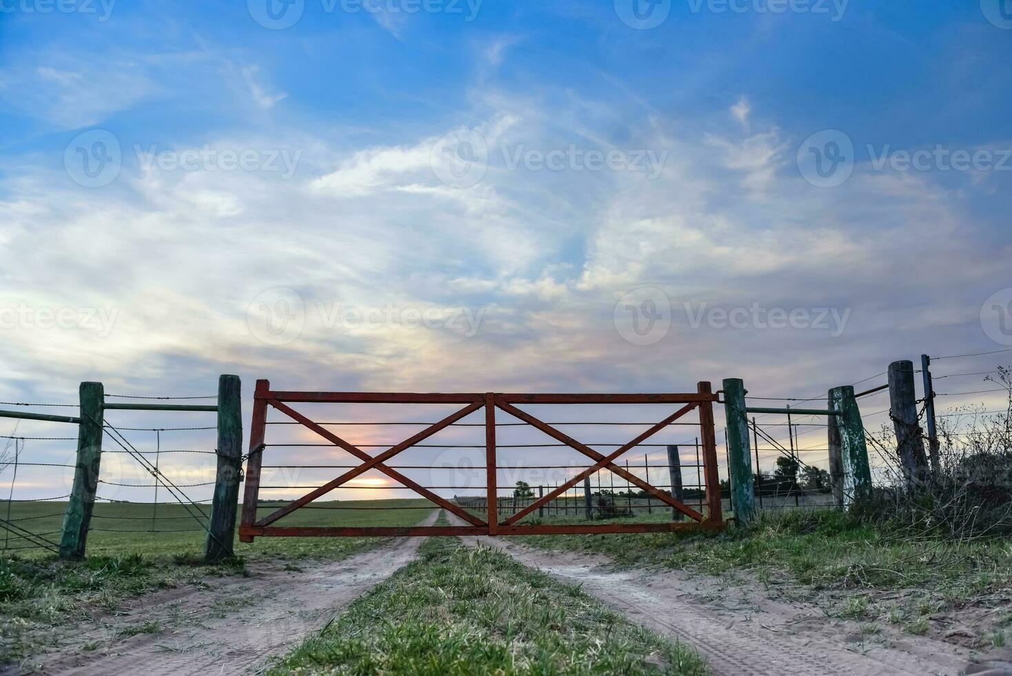 Field gateway in countryside, Patagonia , Argentina photo
