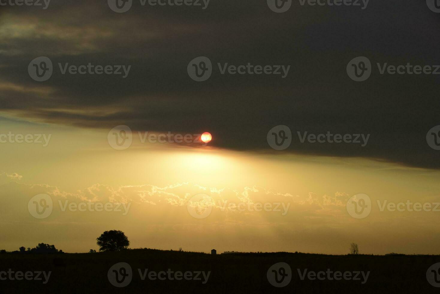 Pampas sunset landscape, La pampa, Argentina photo