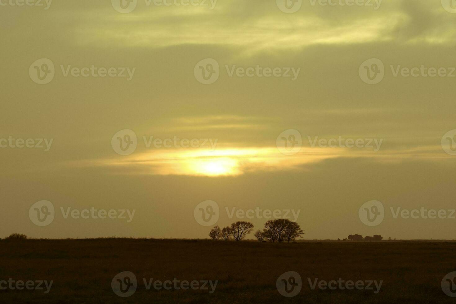 Pampas sunset landscape, La pampa, Argentina photo