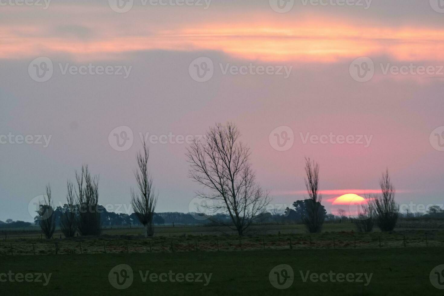 Pampas sunset landscape, La pampa, Argentina photo