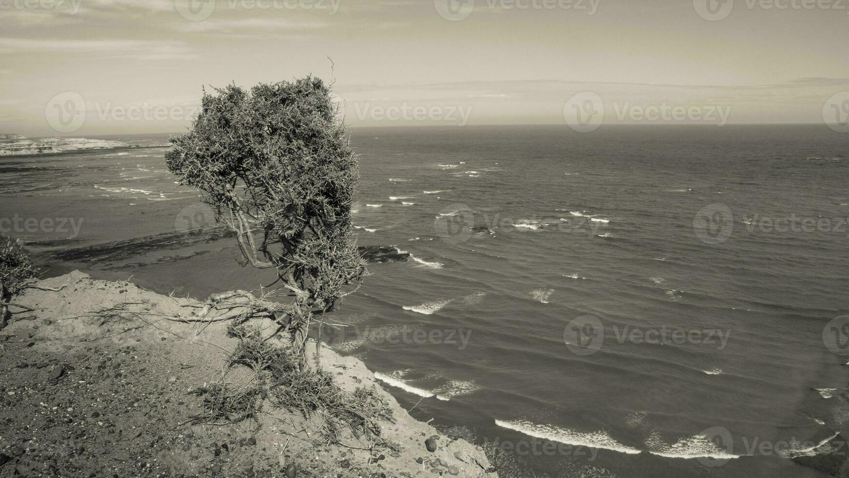 Coastal landscape with cliffs in Patagonia Argentina photo