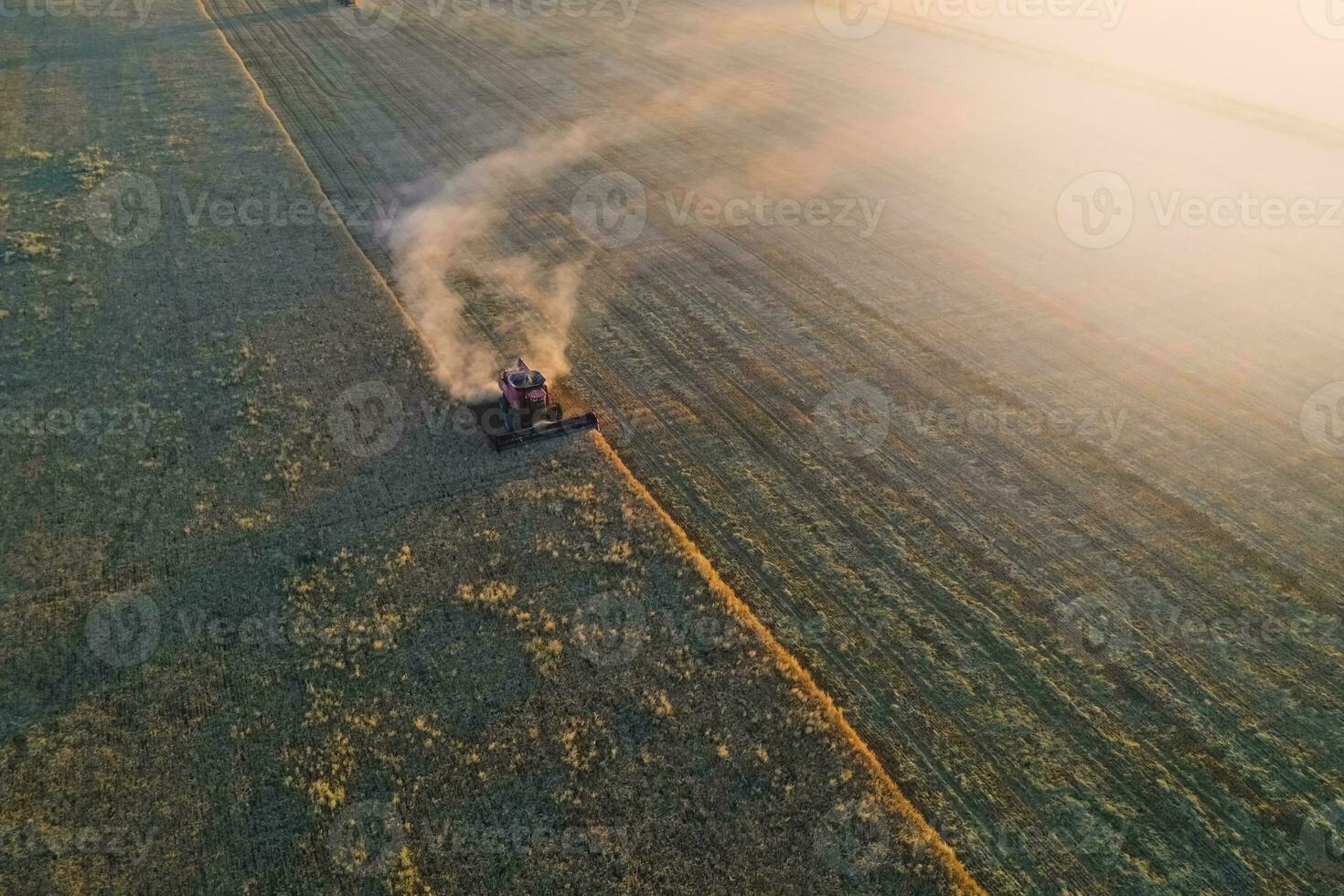 cebada cosecha aéreo vista, en la pampa, argentina. foto