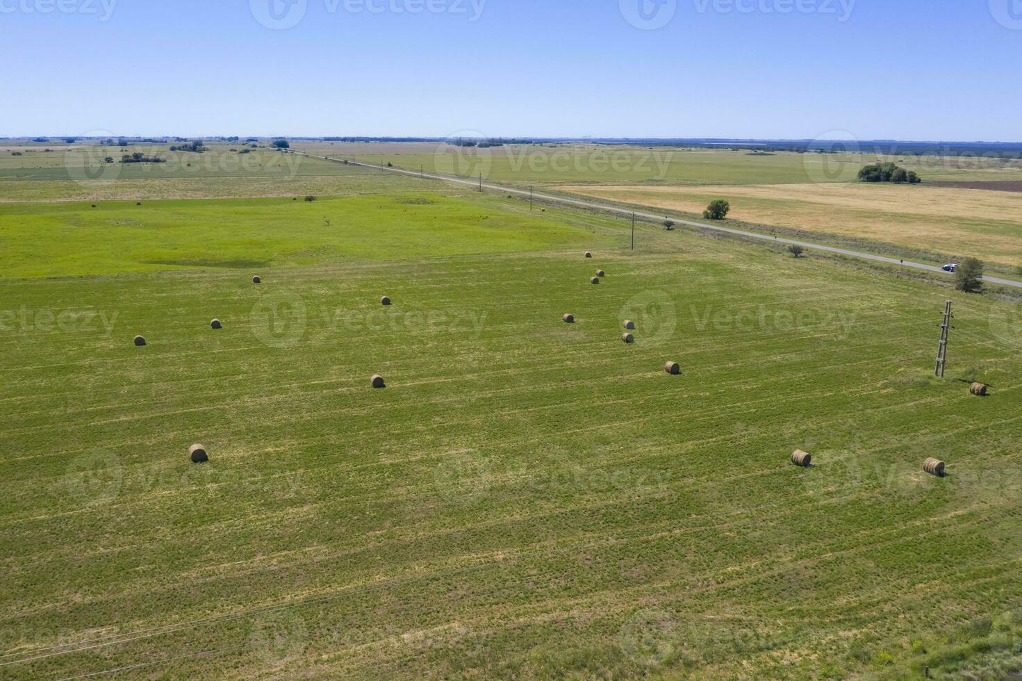 Bale of grass storage in La Pampa countryside, Argentina. photo