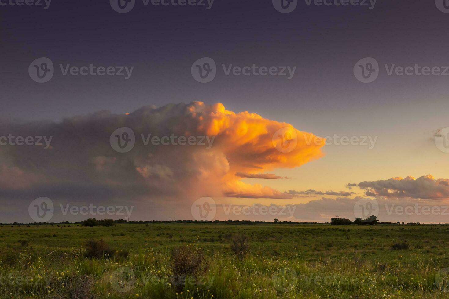 Tormentoso cielo a puesta de sol en el pampa campo, la pampa, argentina. foto