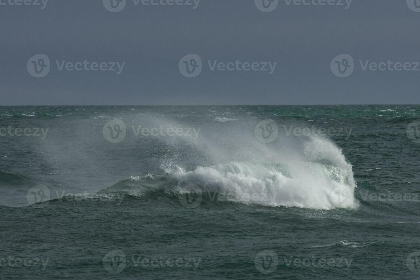 Waves in the ocean, Patagonia photo