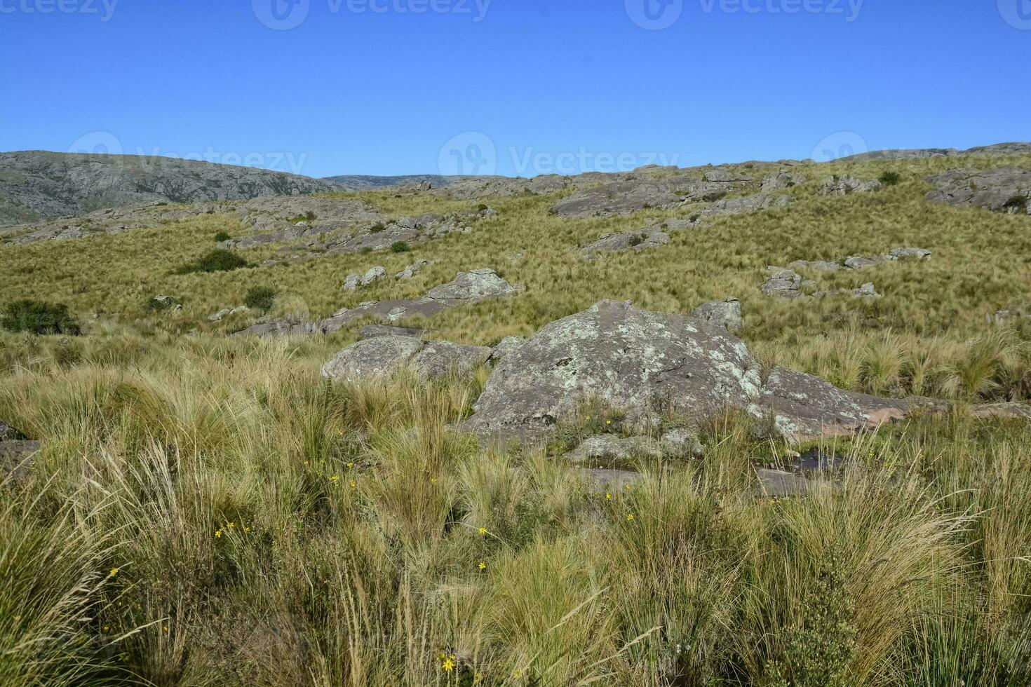 Quebrada del Condorito  National Park landscape,Cordoba province, Argentina photo