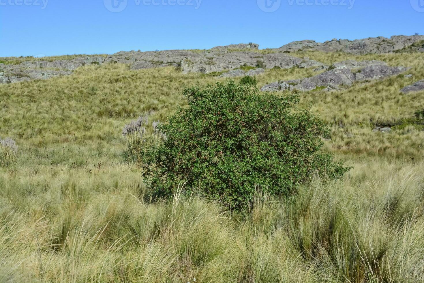 quebrada del condorito nacional parque paisaje, córdoba provincia, argentina foto