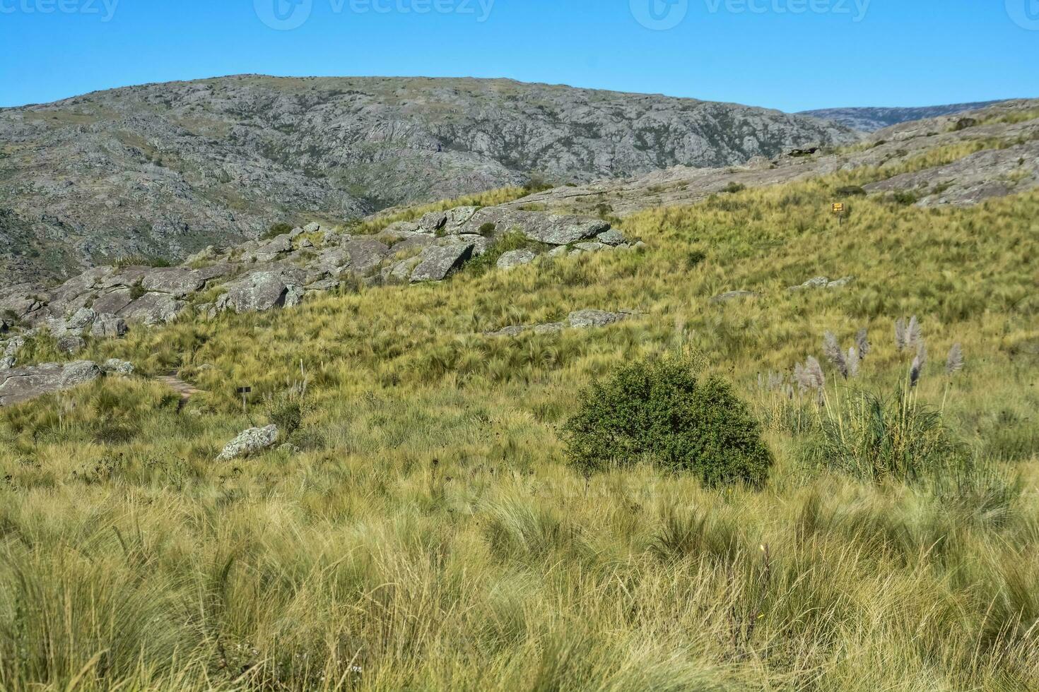 Quebrada del Condorito  National Park landscape,Cordoba province, Argentina photo