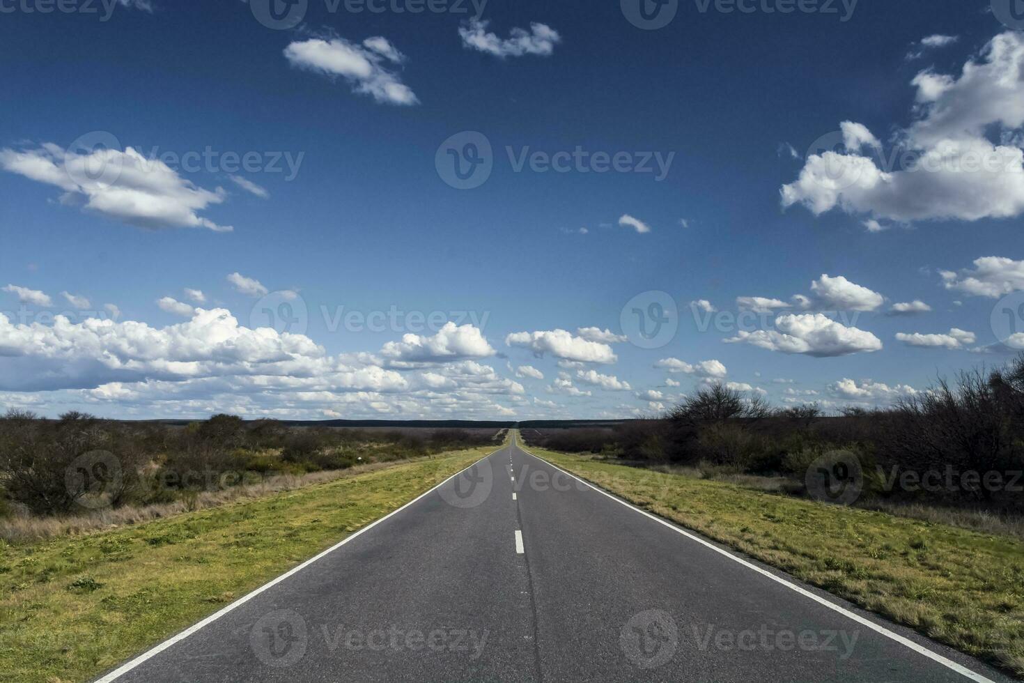 Route in the Pampas plain, Patagonia, Argentina photo