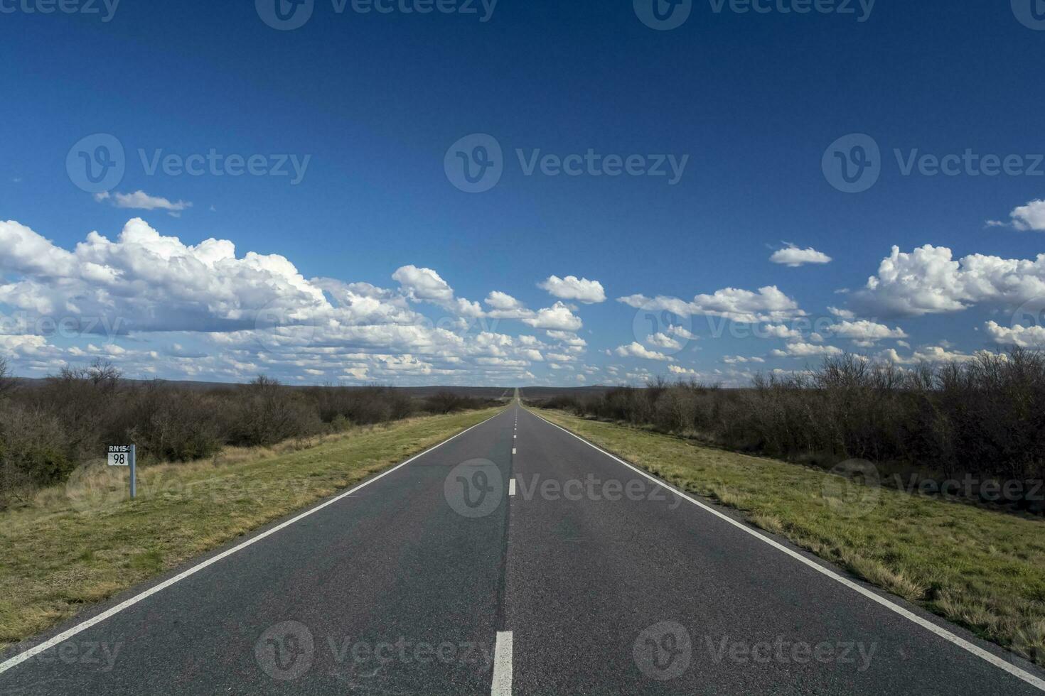 Route in the Pampas plain, Patagonia, Argentina photo