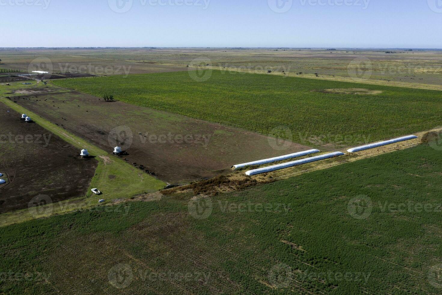 Silo bag, grain storage in La Pampa, Argentina photo