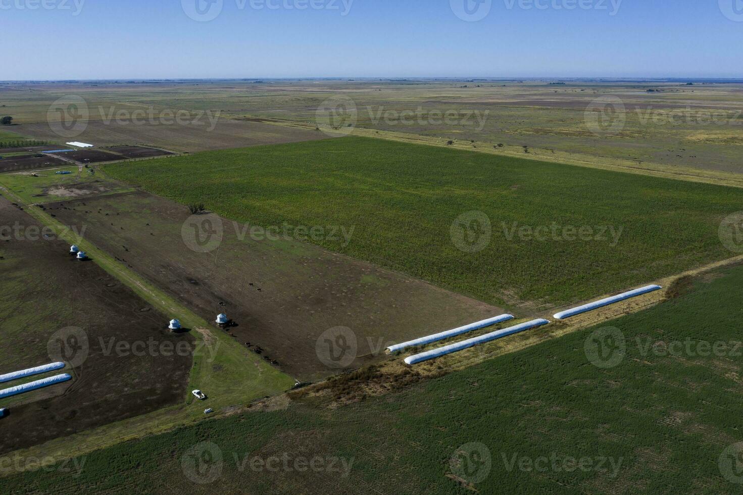 Silo bag, grain storage in La Pampa, Argentina photo