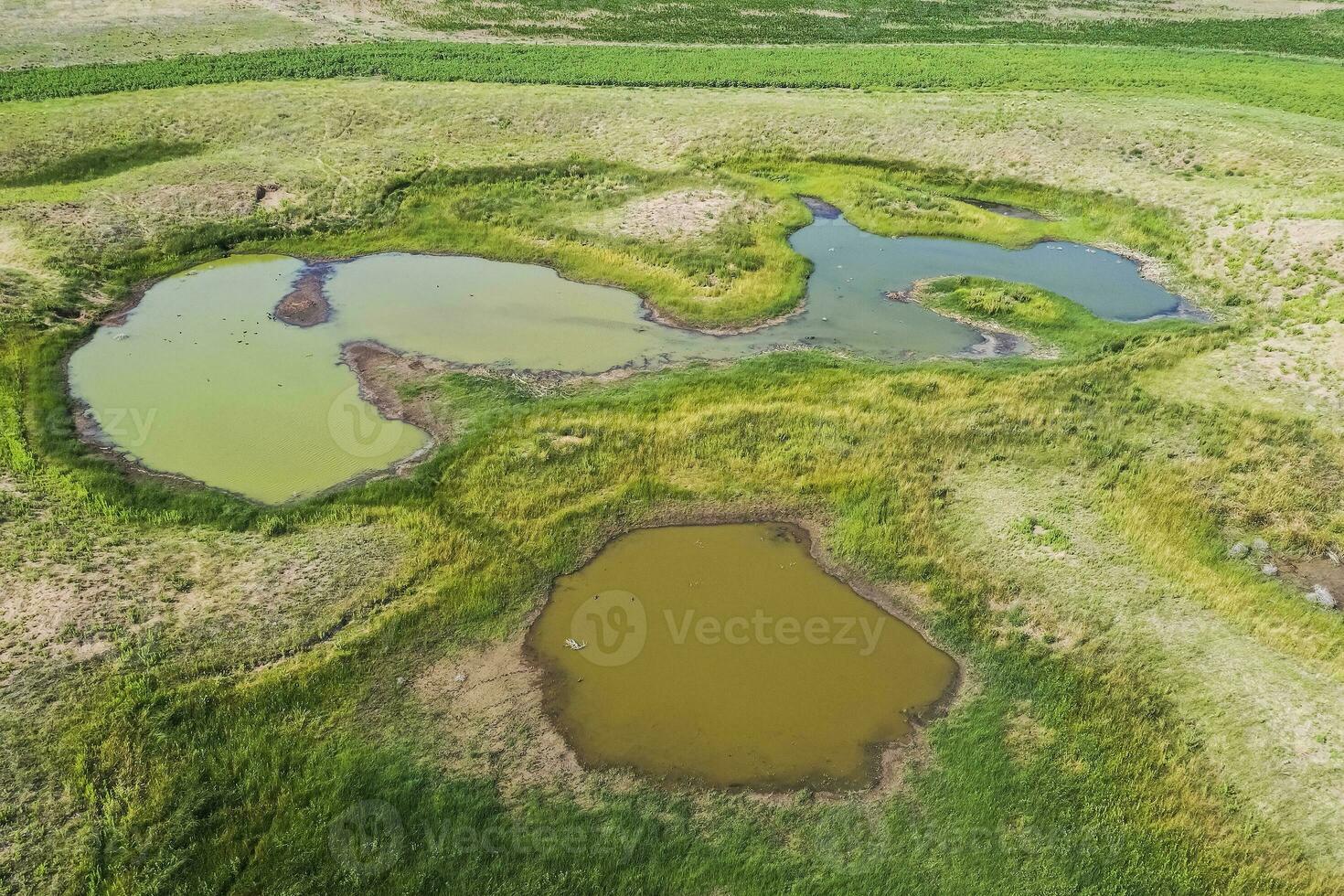 Fresco agua primavera, en pampa paisaje, argentina foto