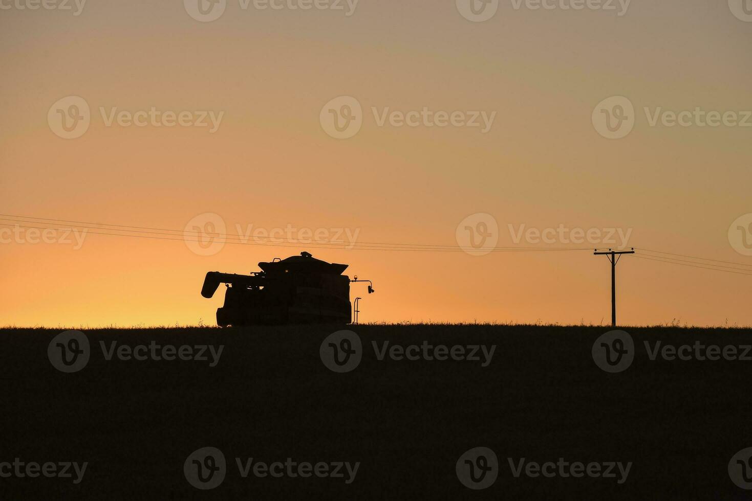 Harvester machine, harvesting in the Argentine countryside, Buenos Aires province, Argentina. photo