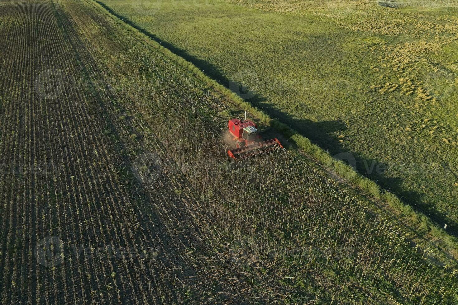 Harvester in Pampas Countryside, aerial view, La Pampa province, Argentina. photo