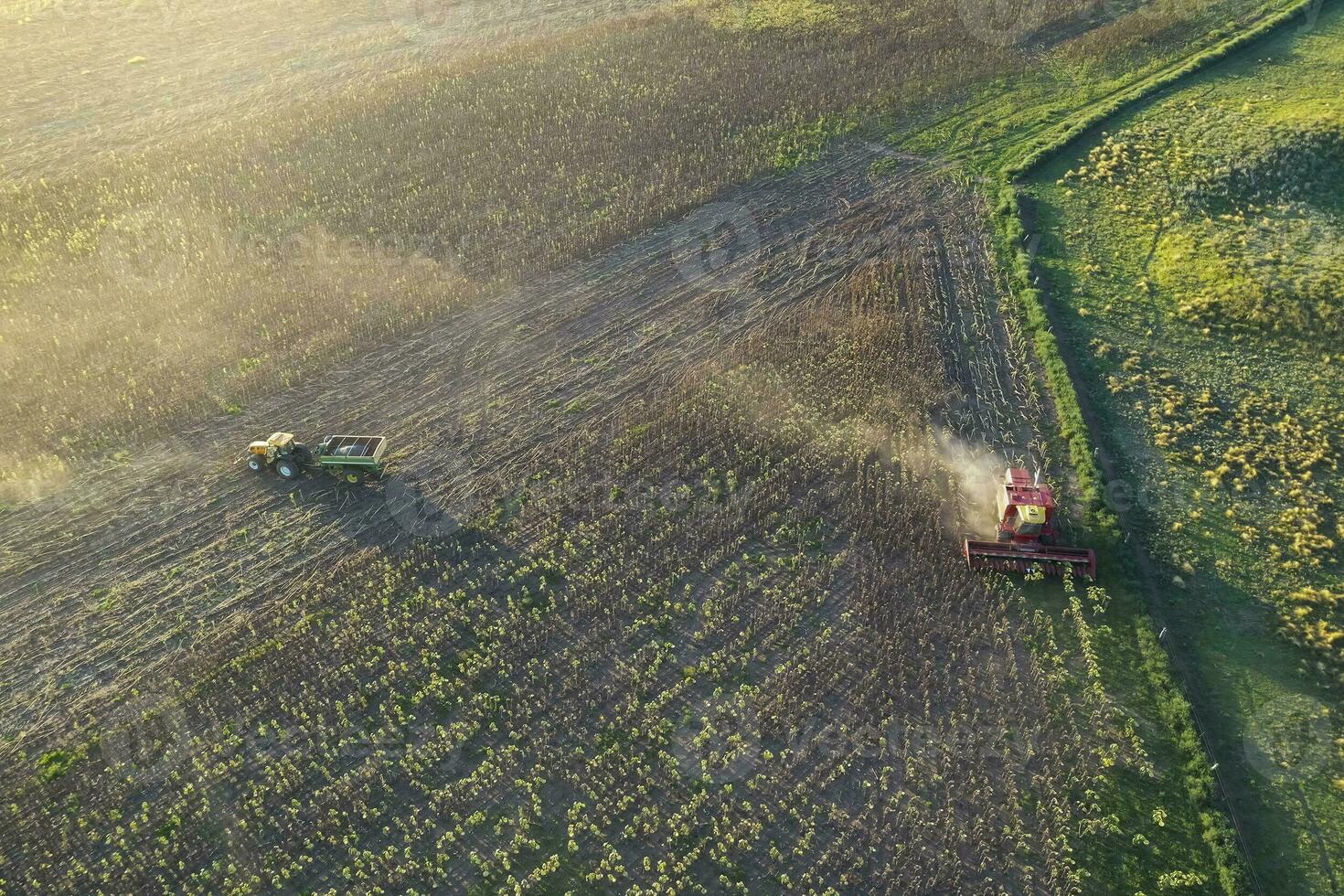 Harvester in Pampas Countryside, aerial view, La Pampa province, Argentina. photo