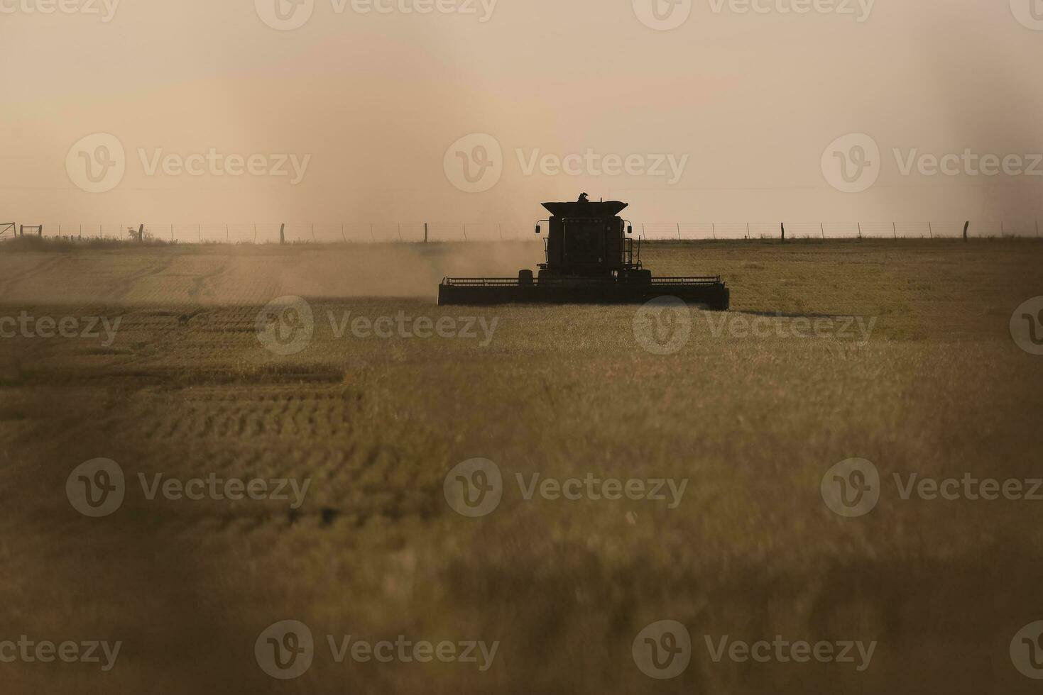 Harvester machine, harvesting in the Argentine countryside, Buenos Aires province, Argentina. photo