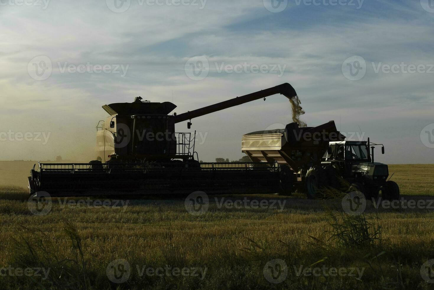 segador máquina, cosecha en el argentino campo, buenos aires provincia, argentina. foto