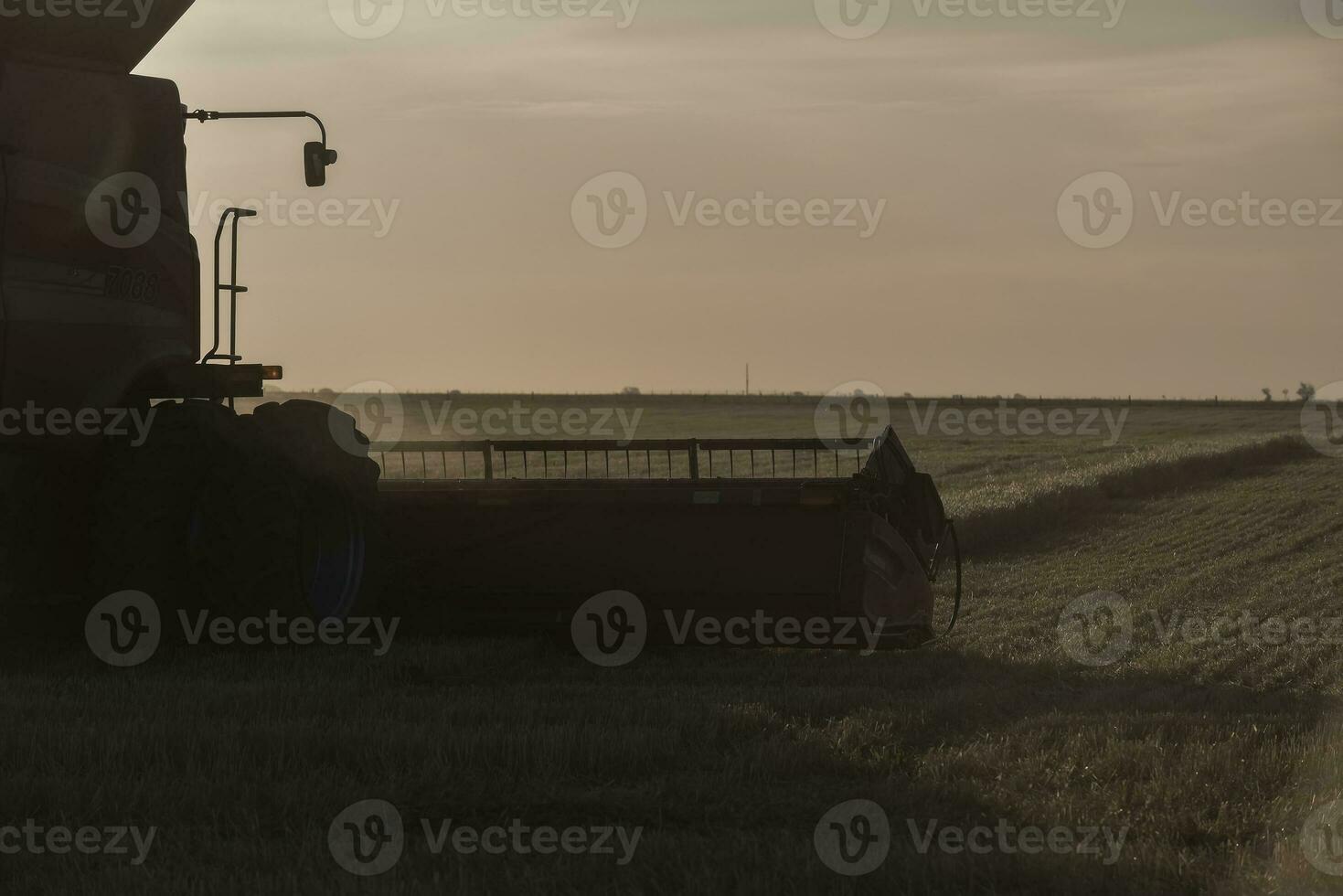 segador máquina, cosecha en el argentino campo, buenos aires provincia, argentina. foto