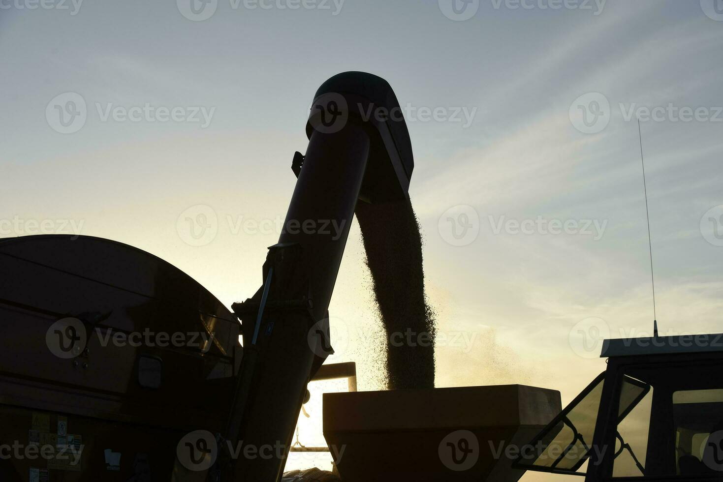 Harvester machine, harvesting in the Argentine countryside, Buenos Aires province, Argentina. photo