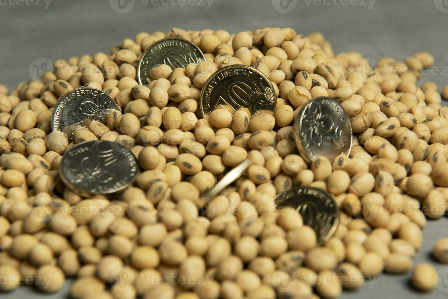 Dollars banknotes and coins and soy beans,oleaginous commoditi value concept. photo