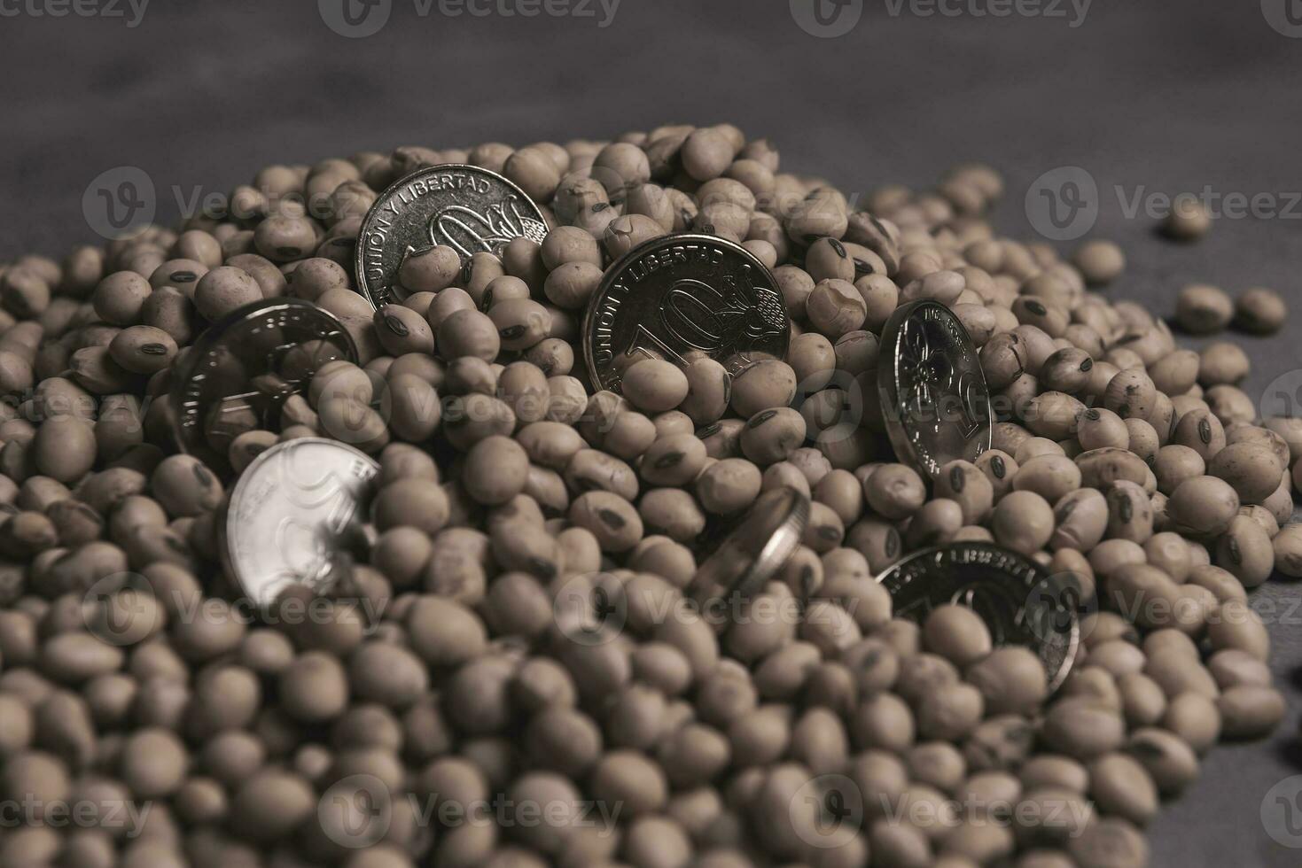 Dollars banknotes and coins and soy beans, commoditi value concept. photo