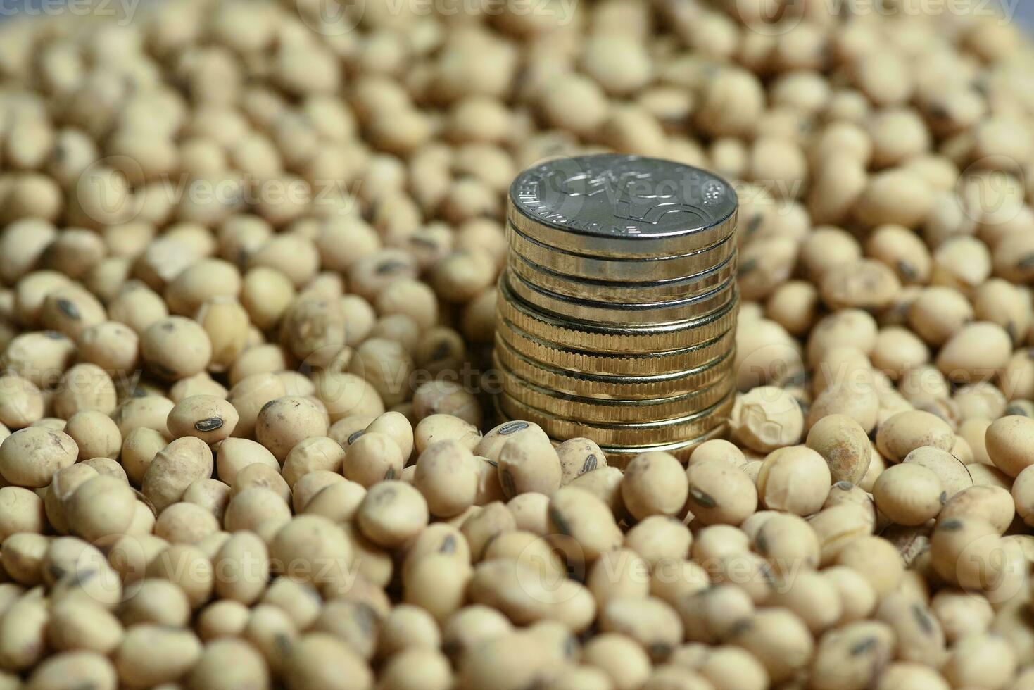Dollars banknotes and coins and soy beans, commoditi value concept. photo