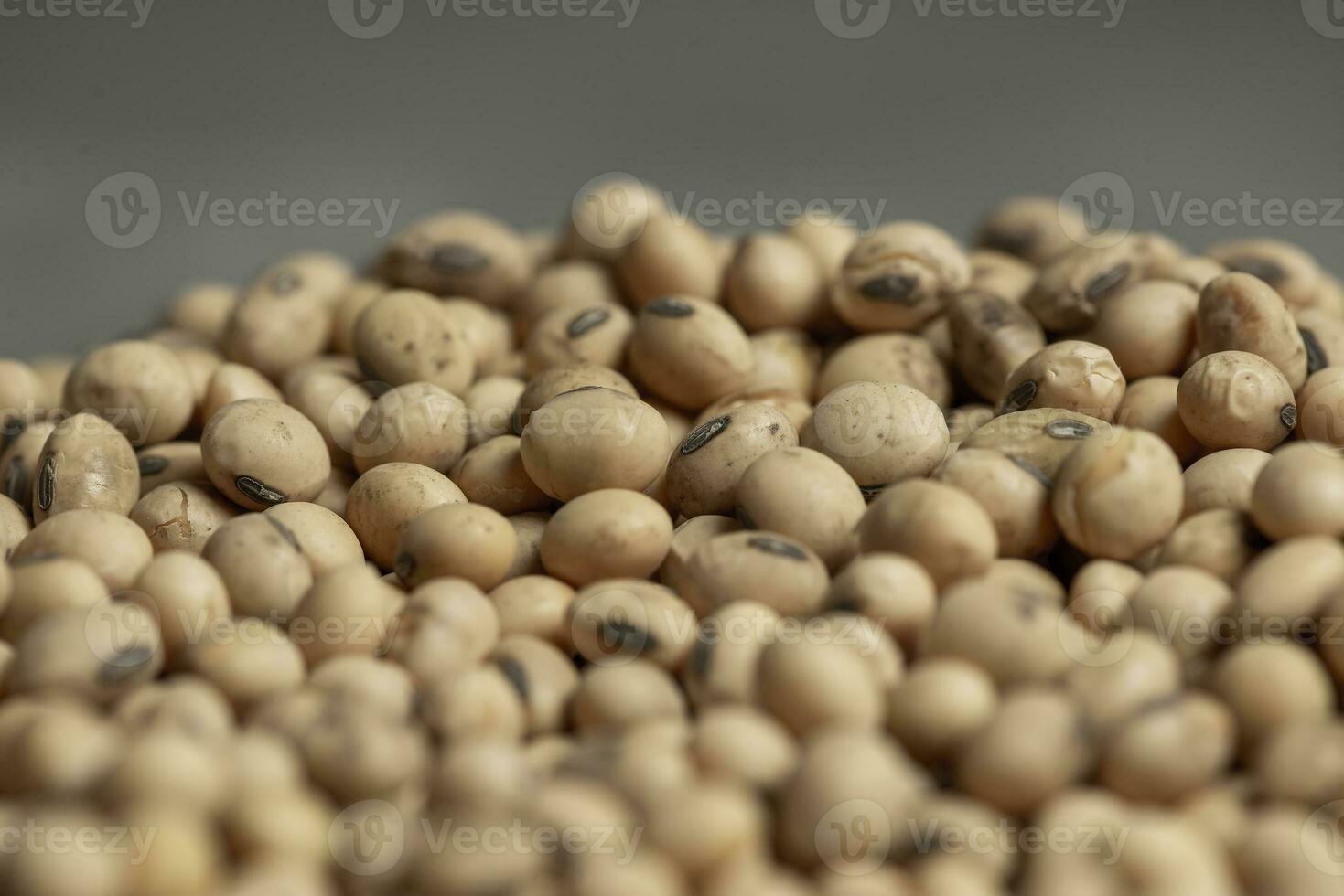Dollars banknotes and coins and soy beans,oleaginous commoditi value concept. photo