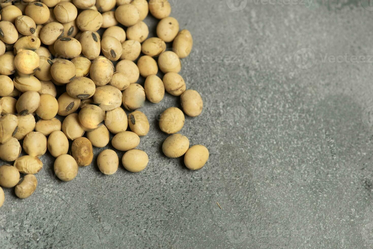 Close up detail of soybeans, Harvested in the Buenos Aires Countryside, Argentina. photo