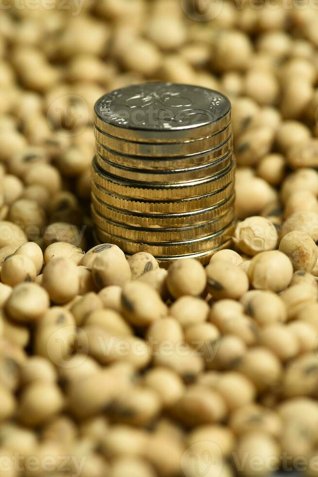 Dollars banknotes and coins and soy beans, commoditi value concept. photo