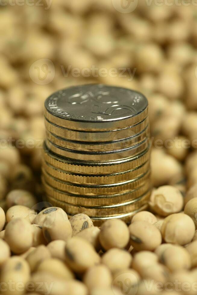 Dollars banknotes and coins and soy beans,oleaginous commoditi value concept. photo