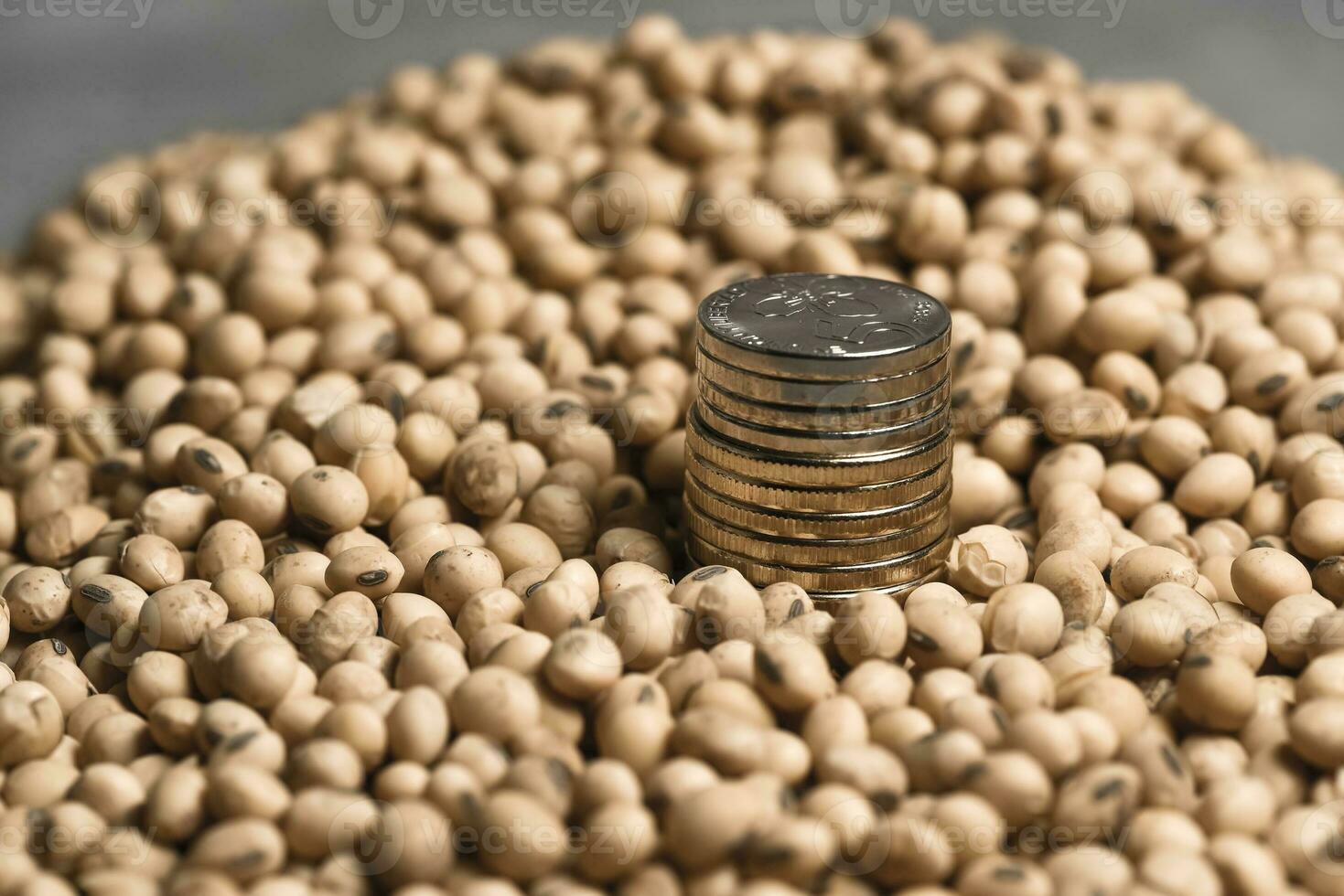 Dollars banknotes and coins and soy beans, commoditi value concept. photo