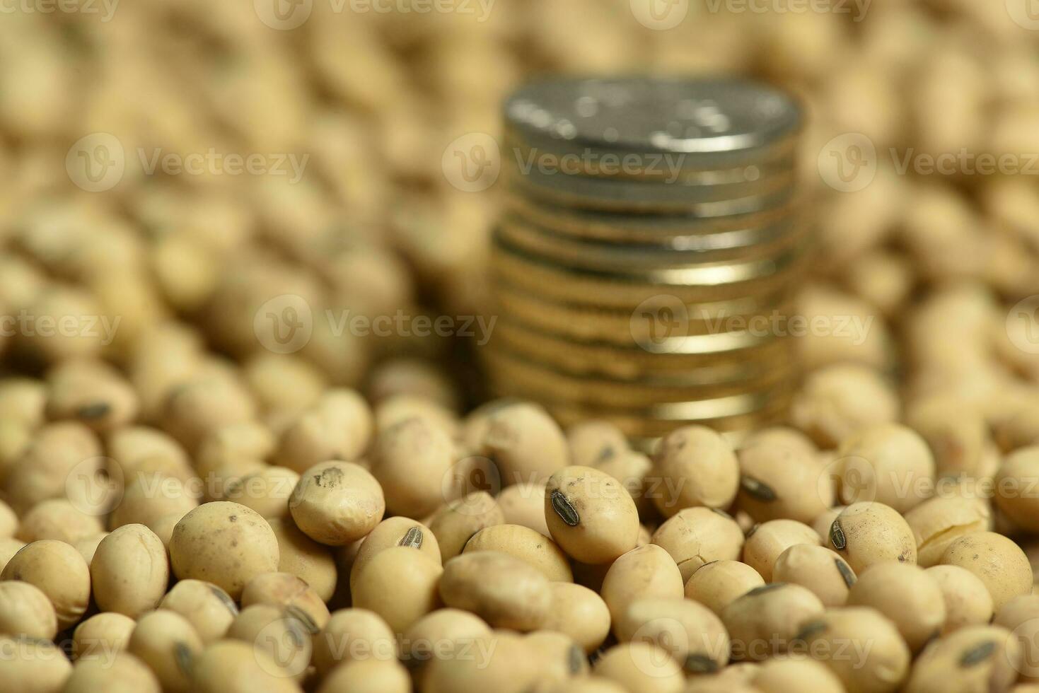 Dollars banknotes and coins and soy beans,oleaginous commoditi value concept. photo