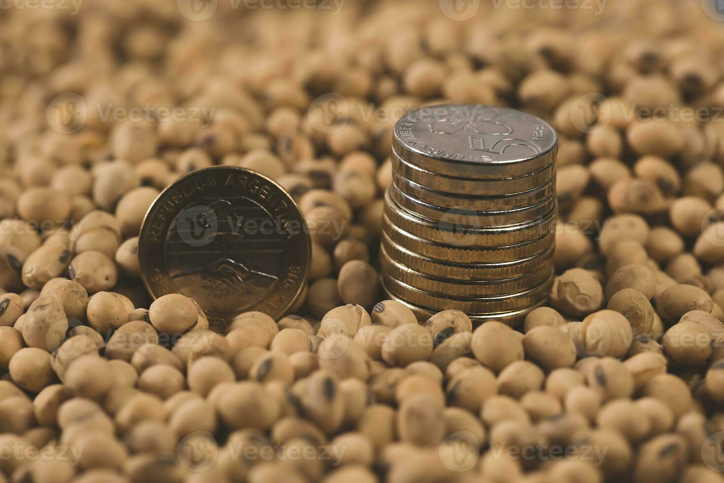 Dollars banknotes and coins and soy beans,oleaginous commoditi value concept. photo