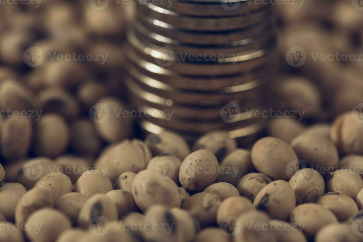 Dollars banknotes and coins and soy beans,oleaginous commoditi value concept. photo