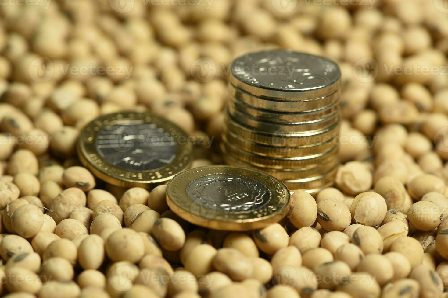 Dollars banknotes and coins and soy beans,oleaginous commoditi value concept. photo