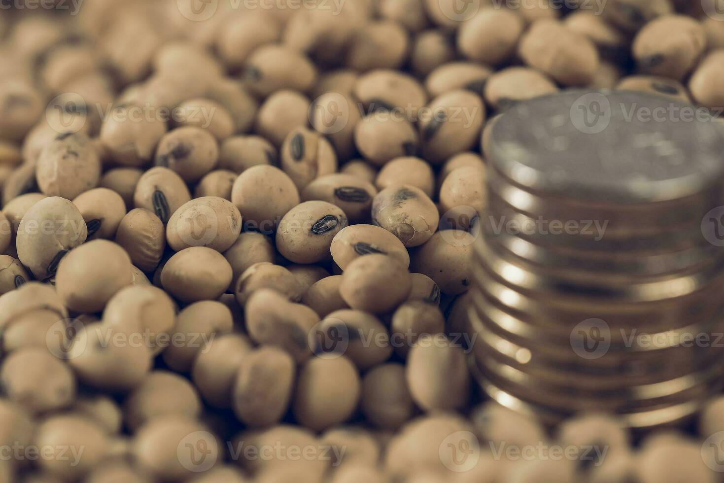 Dollars banknotes and coins and soy beans,oleaginous commoditi value concept. photo
