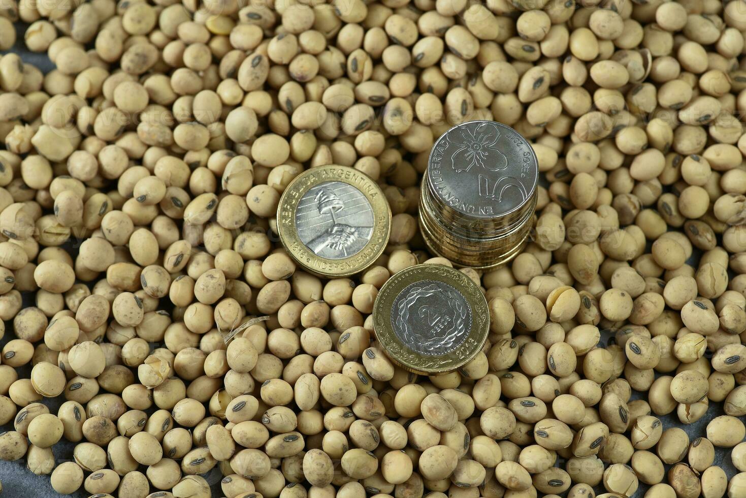 Dollars banknotes and coins and soy beans,oleaginous commoditi value concept. photo